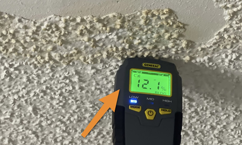 Mold Inspections